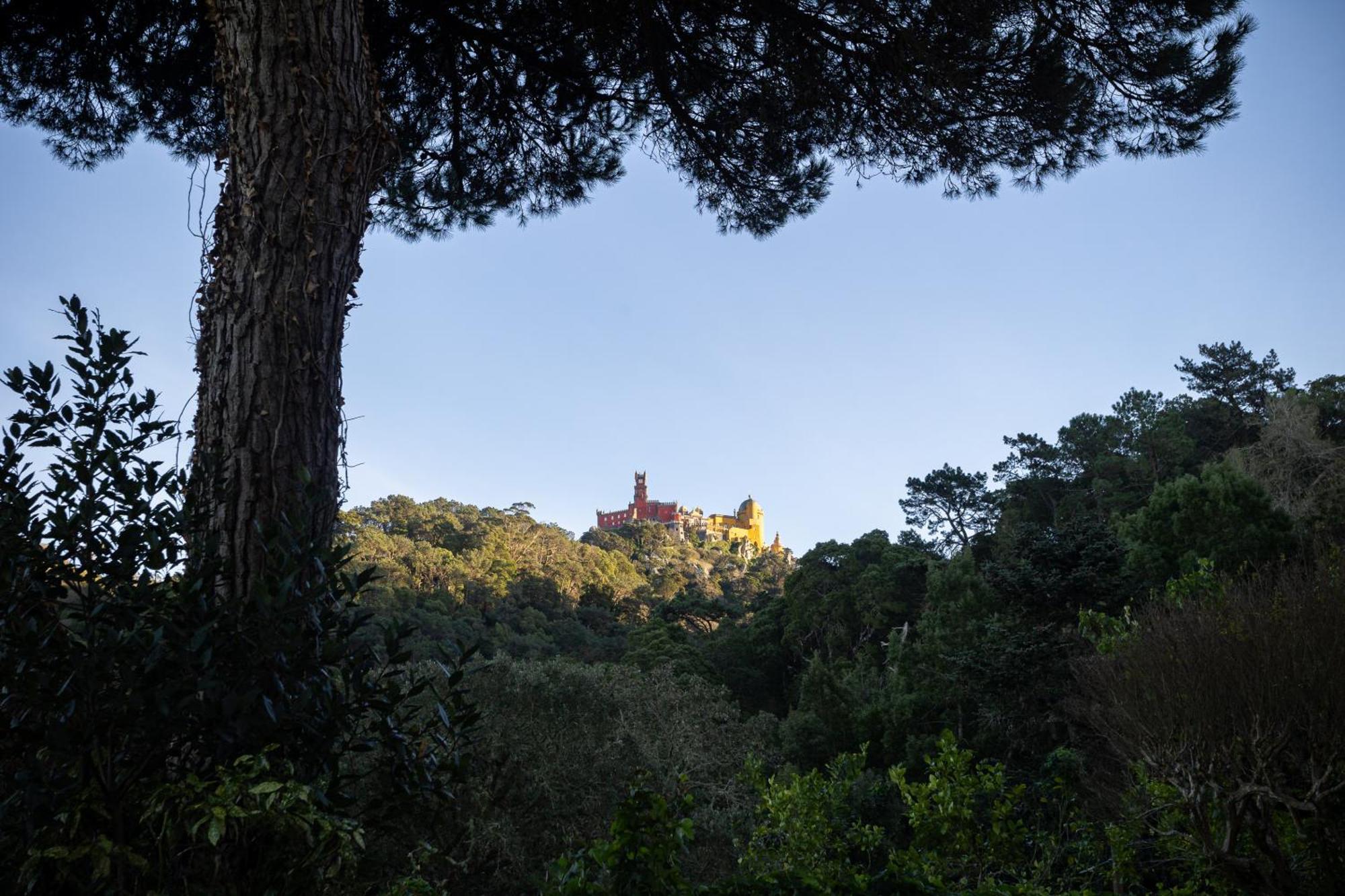 Chalet Chapeu De Sol - Sintra Exterior photo